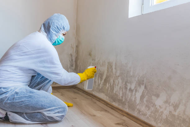 Mold Remediation specialist working in White Marsh
